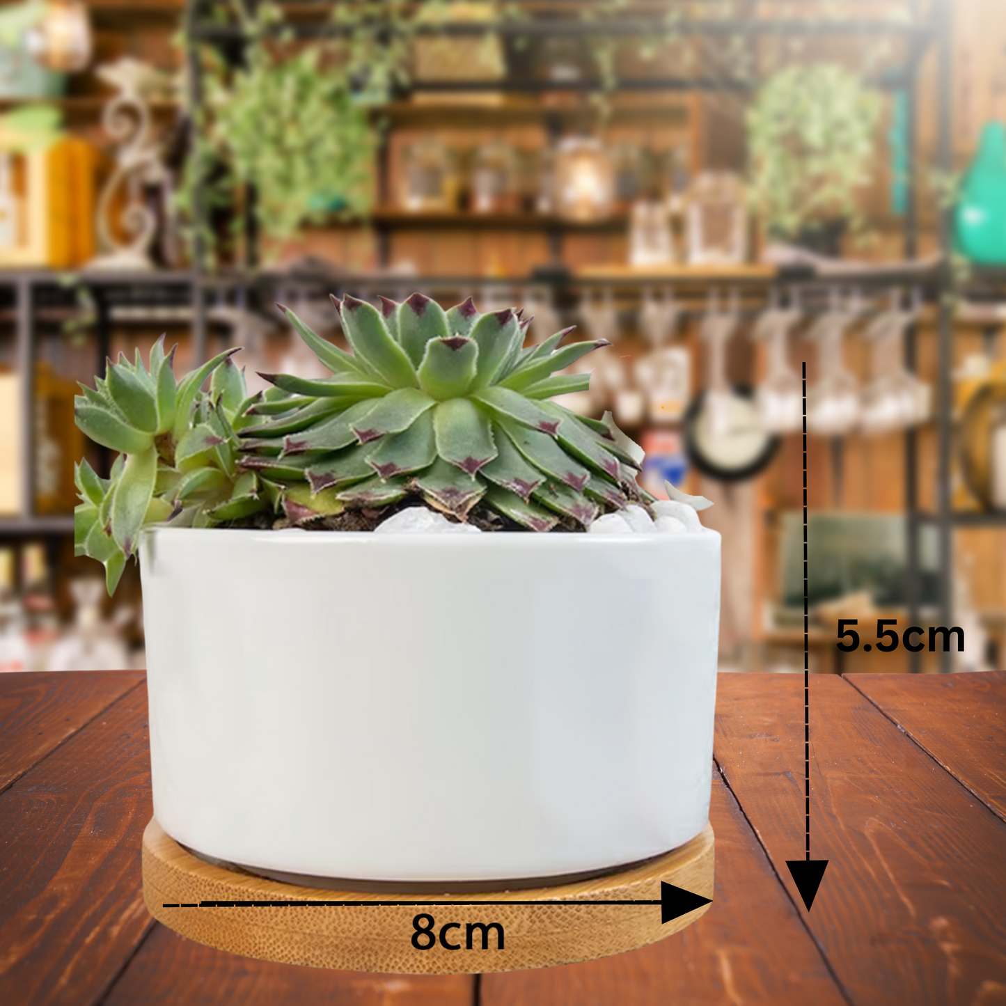 SAVED LIVED MATTERS Flower Pot - WearYnobe