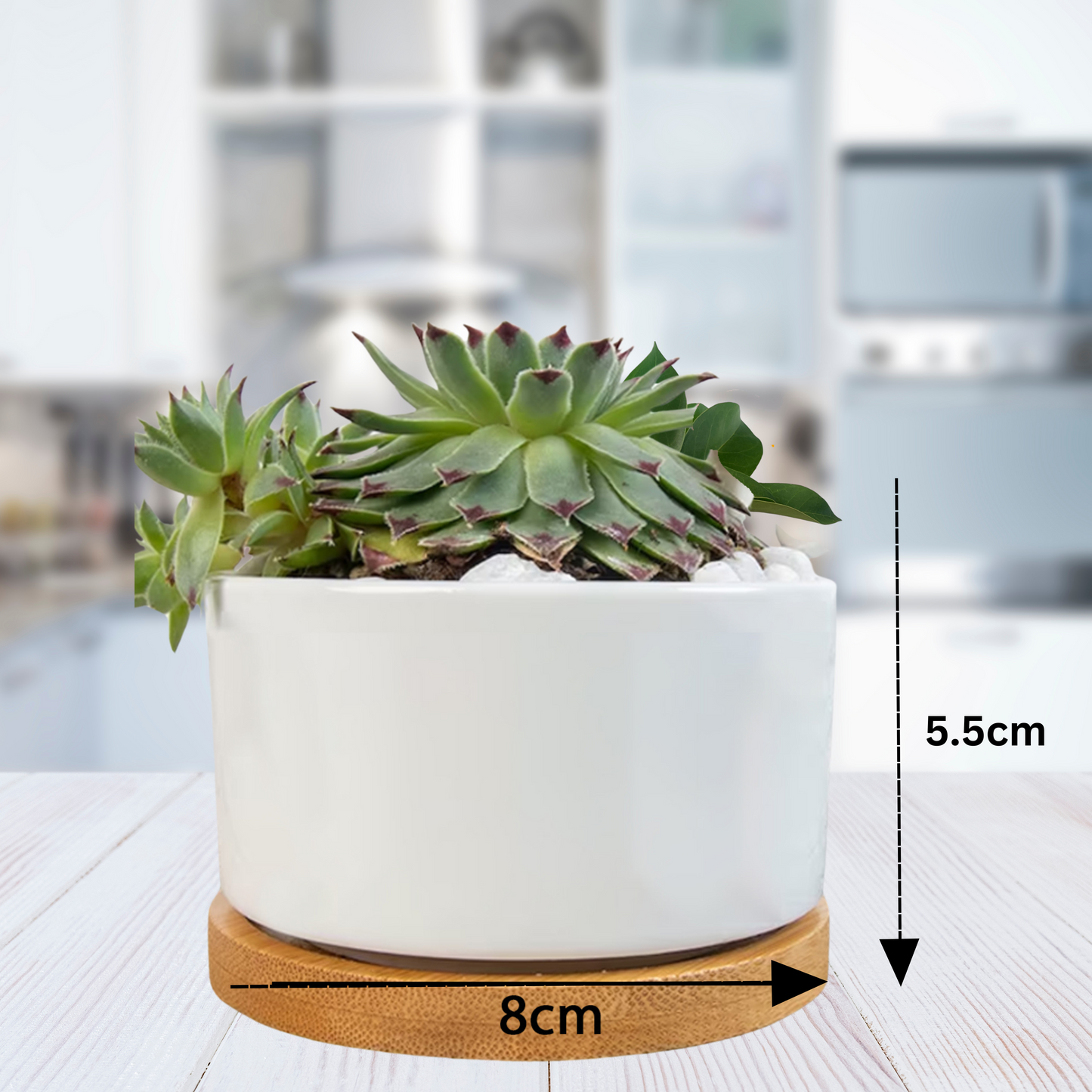 SURRENDER James 4:7 Flower Pot - WearYnobe