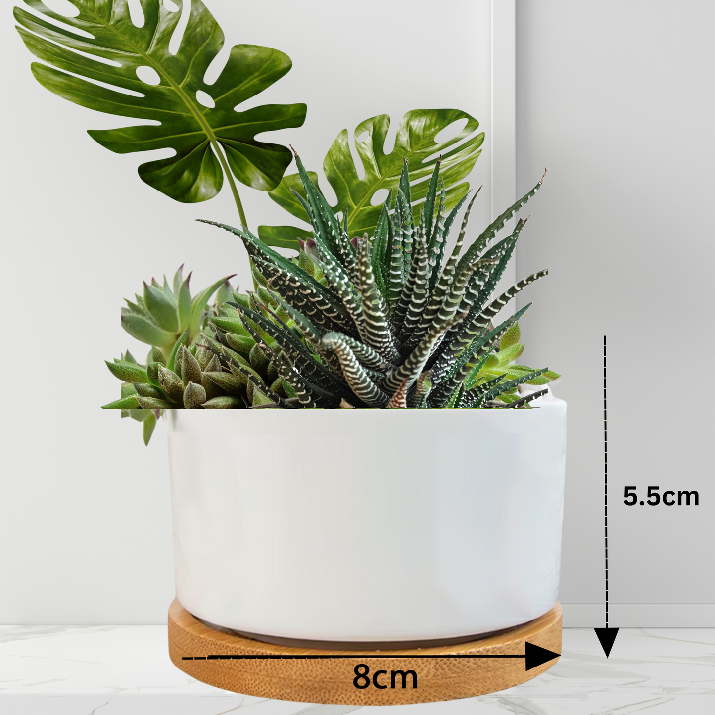 GOD VIBES ONLY Flower Pot - WearYnobe